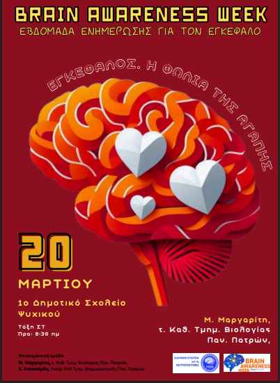 brain